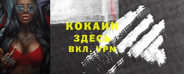 шишки Тобольск