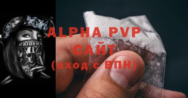 шишки Тобольск