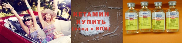гидра Елизово