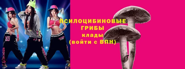 мет Тихвин