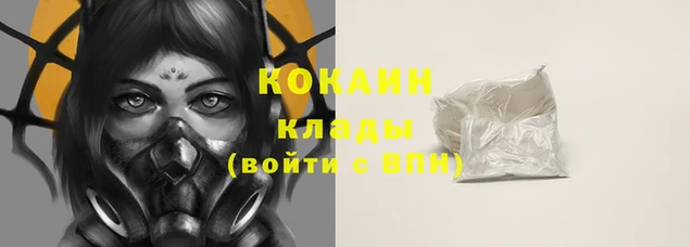 гидра Елизово
