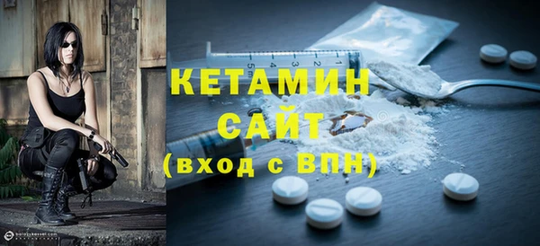 гидра Елизово