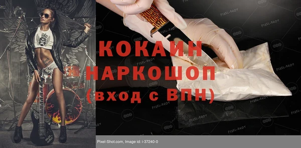 шишки Тобольск