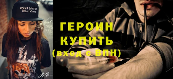гидра Елизово